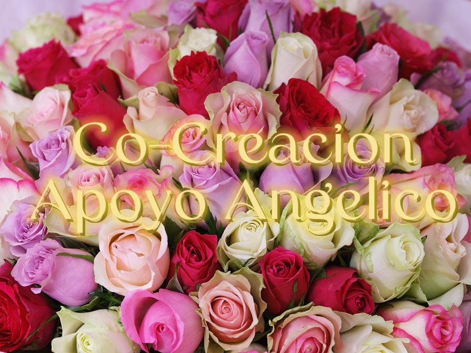 Portada de S. 11 Co-Creacion. Apoyo Angelico