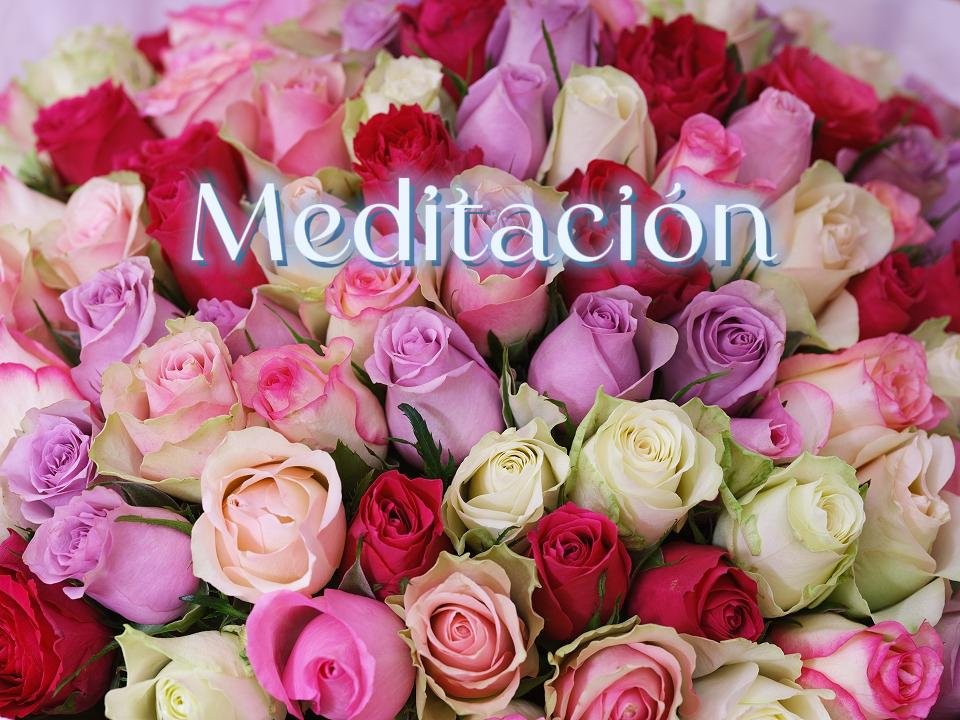 Portada de S. 11 Meditación . Apoyo Angelico